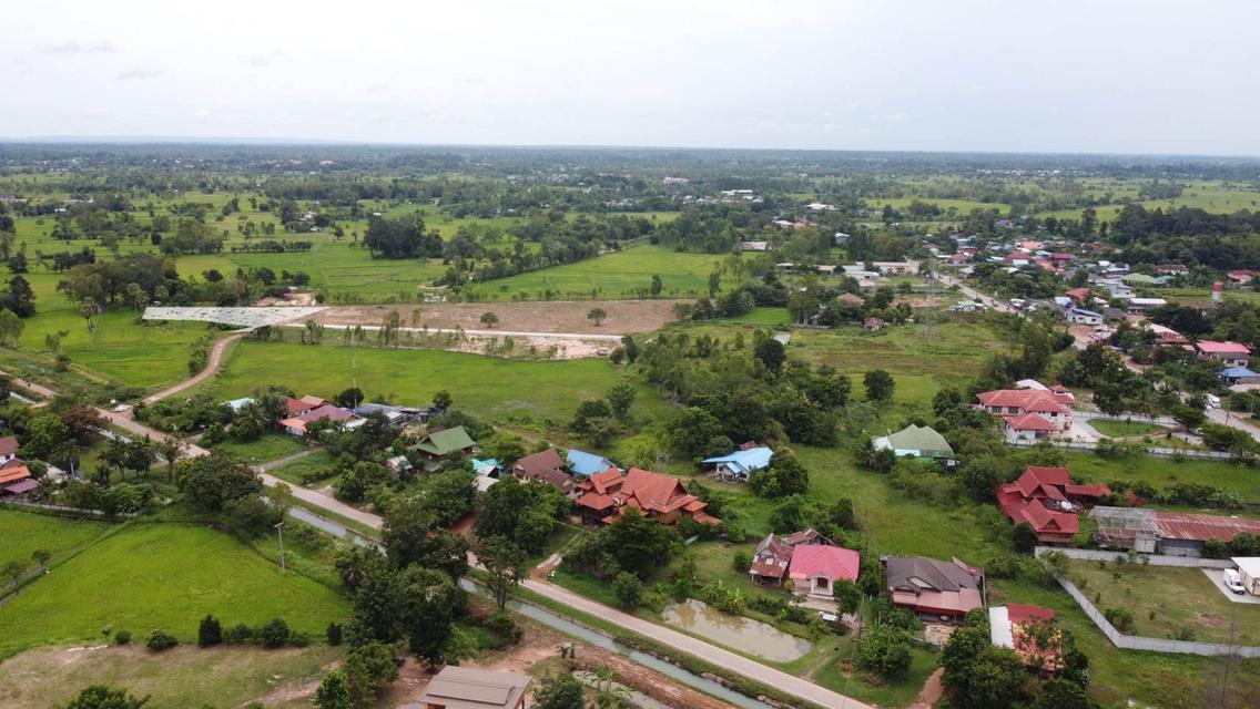 ที่ดินแบ่งขาย ใกล้ตัวเมืองกาฬสินธุ์ เหมาะสร้างบ้านอยู่อาศัย 2