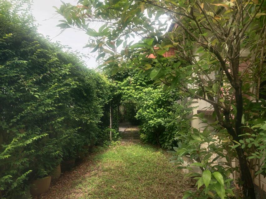 ขายบ้านเดี่ยวชั้นเดียวราคาถูกมาก ด่วนๆๆๆ เจ้าของขายเอง 3,500,000 บาท ราคาต่อรองได้ 5