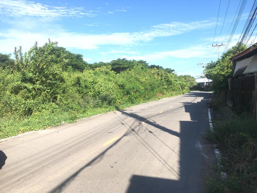 ขายที่ดินในเมืองโคราช 16ไร่ใกล้ถนนสุร2ใกล้หมู่บ้านจัดสรรหลายโครงการ 2