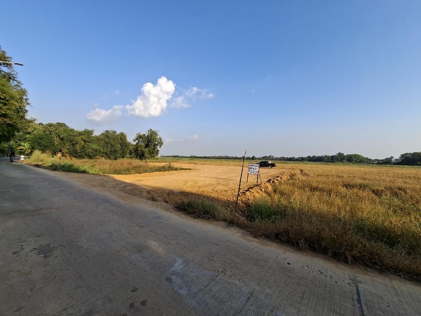 ที่ดิน ตำบลหัวรอ พิษณุโลก 2