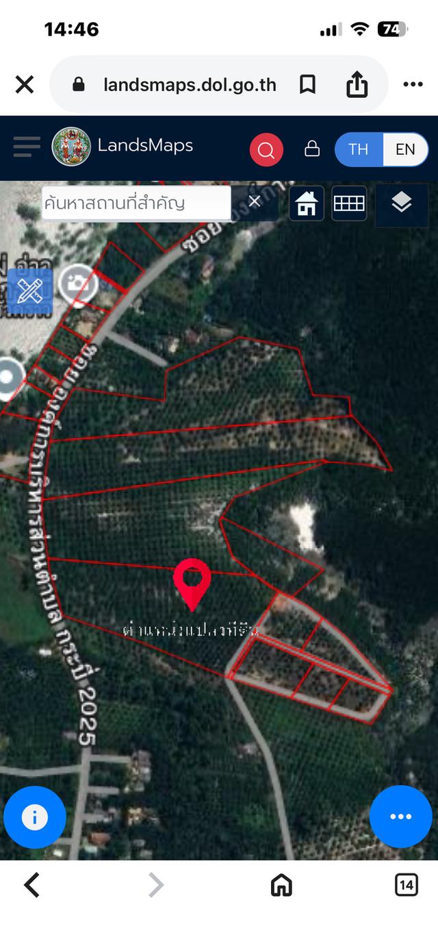 ที่ดิน ติดทะเล สวนปาล์ม 5