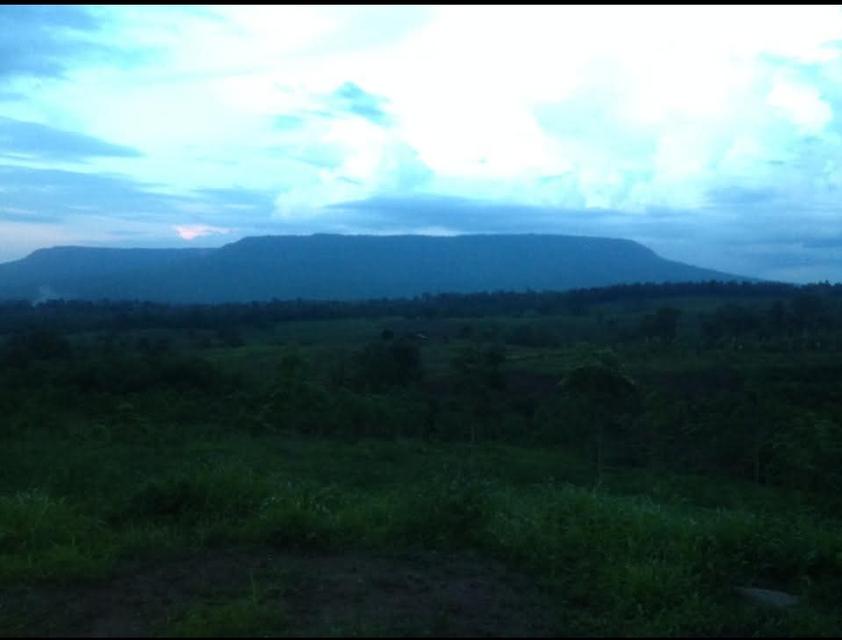 ที่ดินเกษตร สวนยางพารา 4