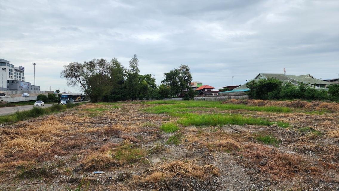 ขายที่ดินแปดริ้วทำเลดีเนื้อที่ 3 ไร่ ตรงข้ามโรงพยาบาลเกษมราษฎร์ ติดถนนใหญ่เส้นสุวินทวงศ์304 อ.เมืองฉะเชิงเทรา 5