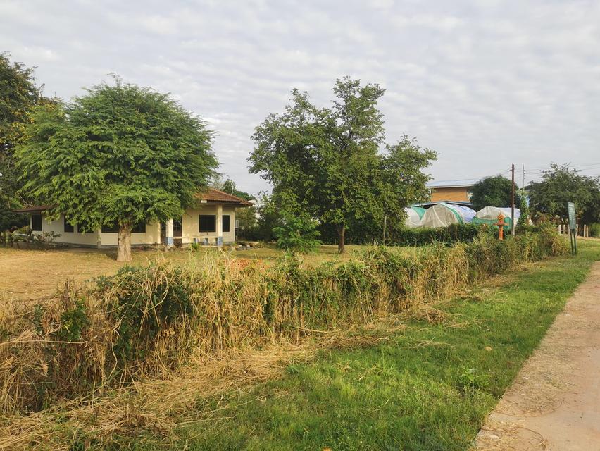 ที่ดิน​ 6​ ไร่​ 1​ งาน​ 31​ ตารางวา​ 7