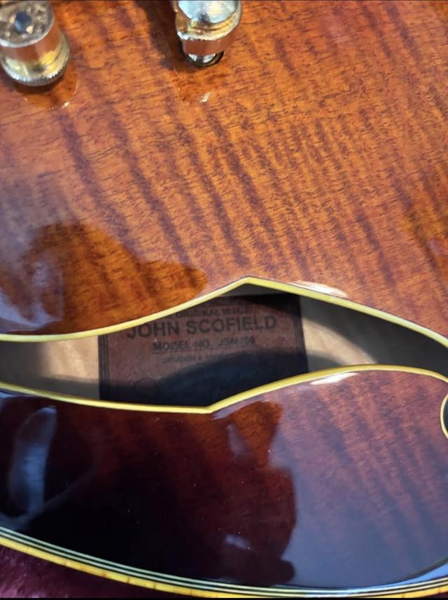 Guitar Ibanez John Schofield 9