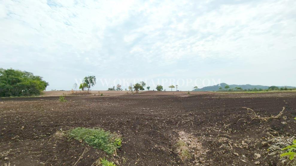 ที่ดินติดถนน ต.ดอนดึง อ.บ้านหมี่ จ.ลพบุรี 5