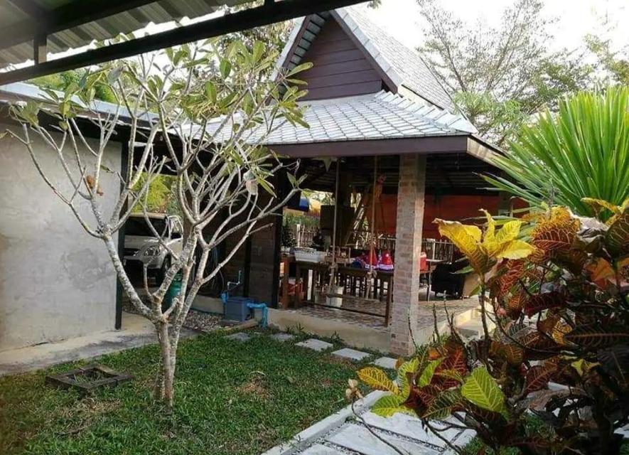 บ้านพร้อมที่ดิน 200 ตรว. จ.ลำพูน 19