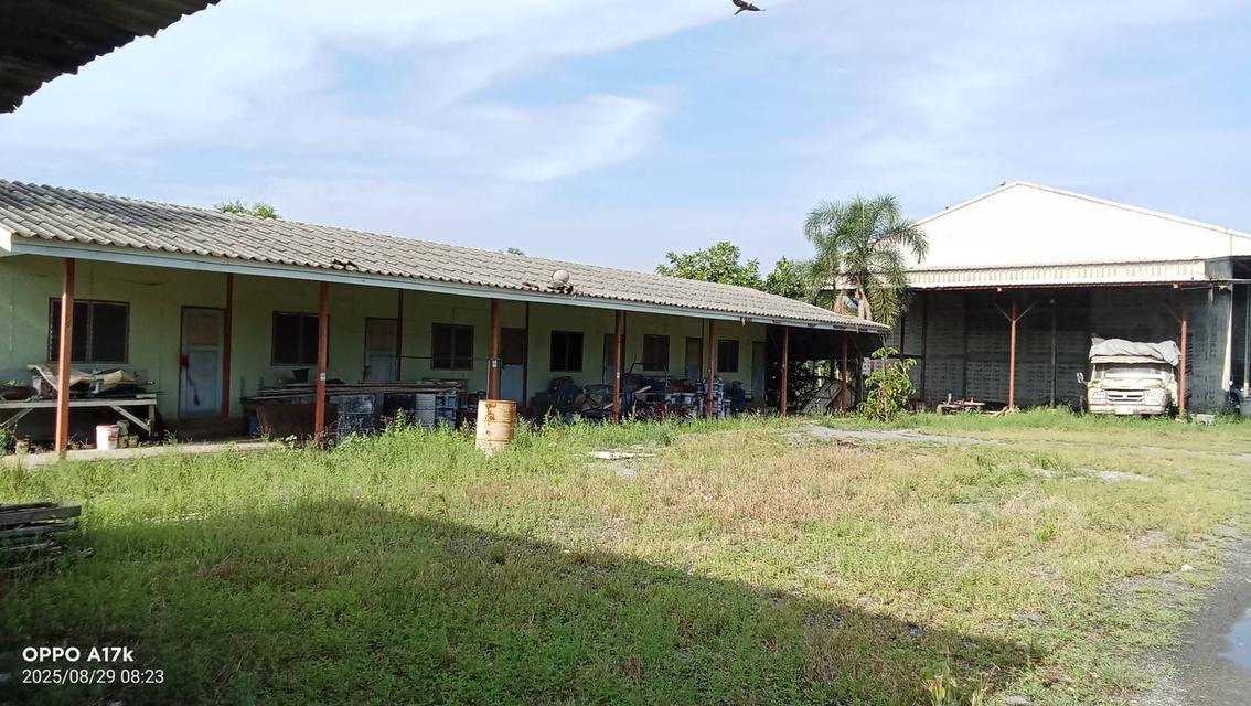 ที่ดิน คลองหก ปทุมธานี 26 ไร่ 3 งาน 17 ตรว. 3