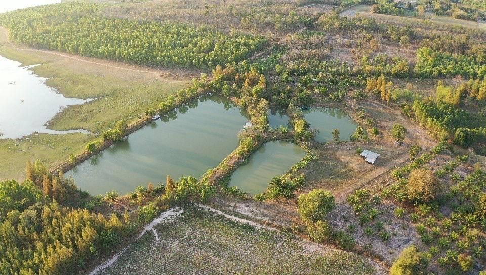 ขายที่ดินติดเขื่อนลำปาว กาฬสินธุ์ พื้นที่รวม 55 ไร่ เหมาะพัฒนารีสอร์ทหรือโครงการท่องเที่ยว 1