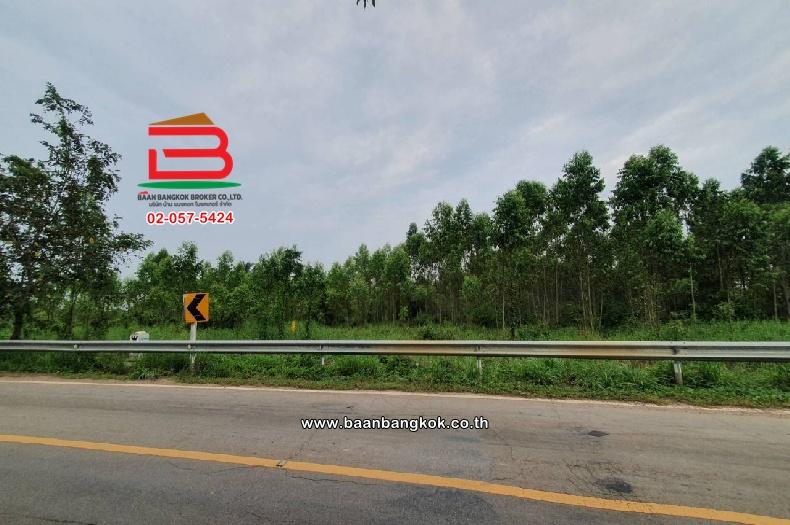 ที่ดินเปล่า ตำบลท่าบุญมี (สี่แยกเกาะโพธิ์) เนื้อที่ 71-0-22 ไร่ (ใกล้อ่างเก็บน้ำคลองหลวงรัชชโลทร) ตำบลท่าบุญมี อำเภอเกาะจันทร์ จังหวัดชลบุรี 9