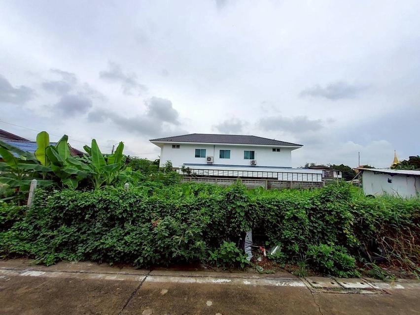 ขายถูก ที่ดินใกล้รถไฟฟ้าสายสีม่วง 103 ตารางวา แปลงมุม ติดถนนคอนกรีตสาธารณะ ซอยวัดไผ่เหลือง อ.บางบัวทอง จ.นนทบุรี 7