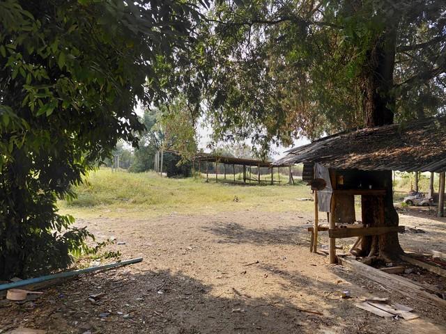 แปลงนี้ซื้อแบบผ่อนตรงกับเจ้าของได้ ที่ปากช่อง 2ไร่- 8ไร่ โฉนด ต.วังไทร อ.ปากช่อง จ.นครราชสีมา ไร่ละ 2.9 ลบ.สูงจากระดับน้ 1