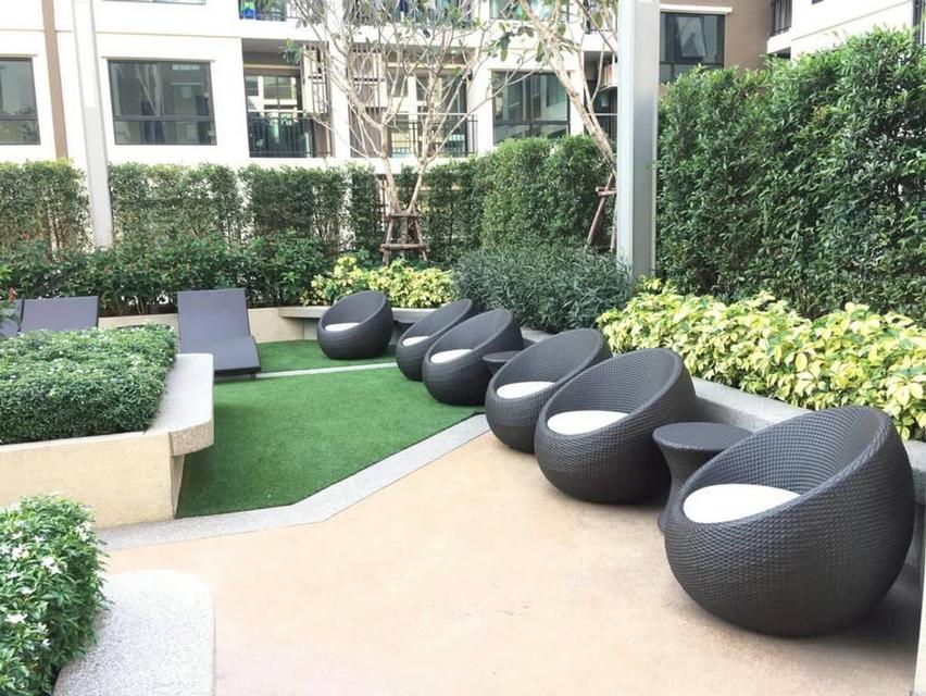 ให้เช่าคอนโดศุภาลัย ซิตี้ รีสอร์ท สุขุมวิท 105 ตกแต่งสวย Built-in ทั้งห้อง (N.1957) 7