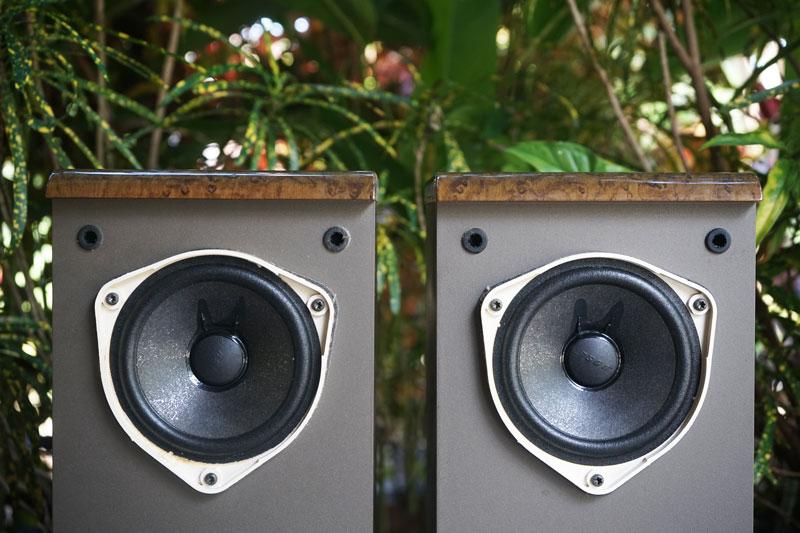 ลำโพง BOSE รุ่น 121 WestBorough 15