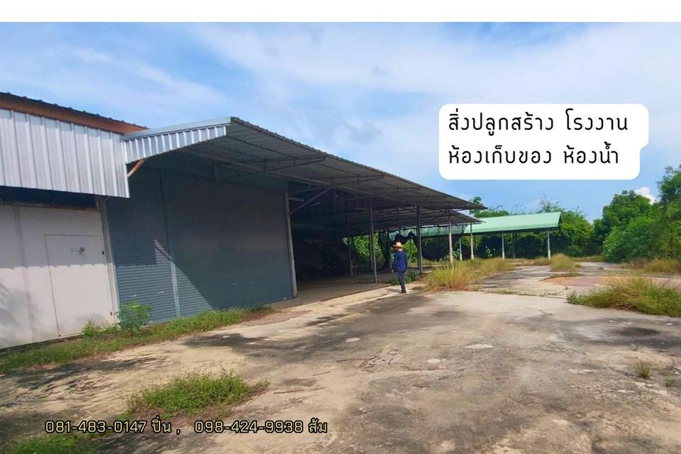 ขายที่ดิน โรงงานปุ๋ย อ.สรีประจันต์ สุพรรณบุรี 3