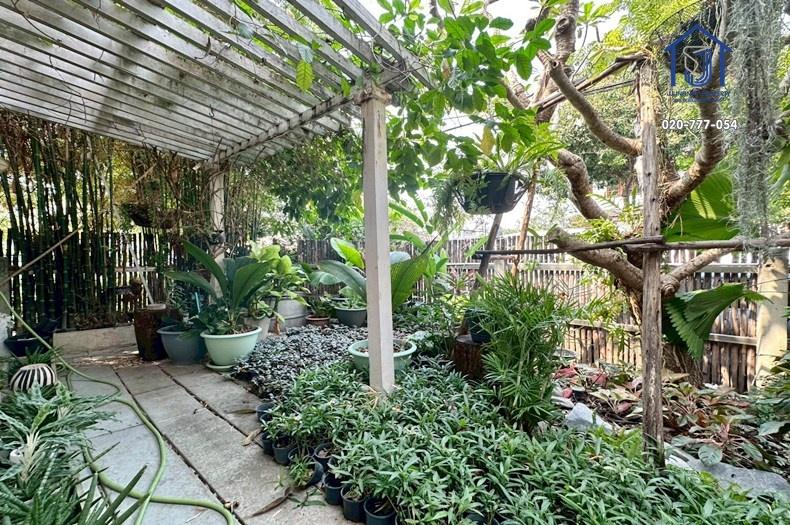 ขายบ้านเดี่ยว 2 ชั้น 99 ตารางวา  ซอยนาคนิวาส 37 ไกล้เลียบด่วน-เกษตรนวมินทร์ 9