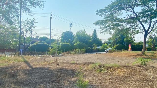 แยกท่าอิฐ ราชพฤกษ์ ให้เช่าที่ดินถมแล้ว 2ไร่ 2งาน 76ตร.วา. MRT บางรักน้อยท่าอิฐ 2.4กม. ตลาดสดท่าอิฐ 1.2 กม. สนามไดร์ฟกอล์ 2