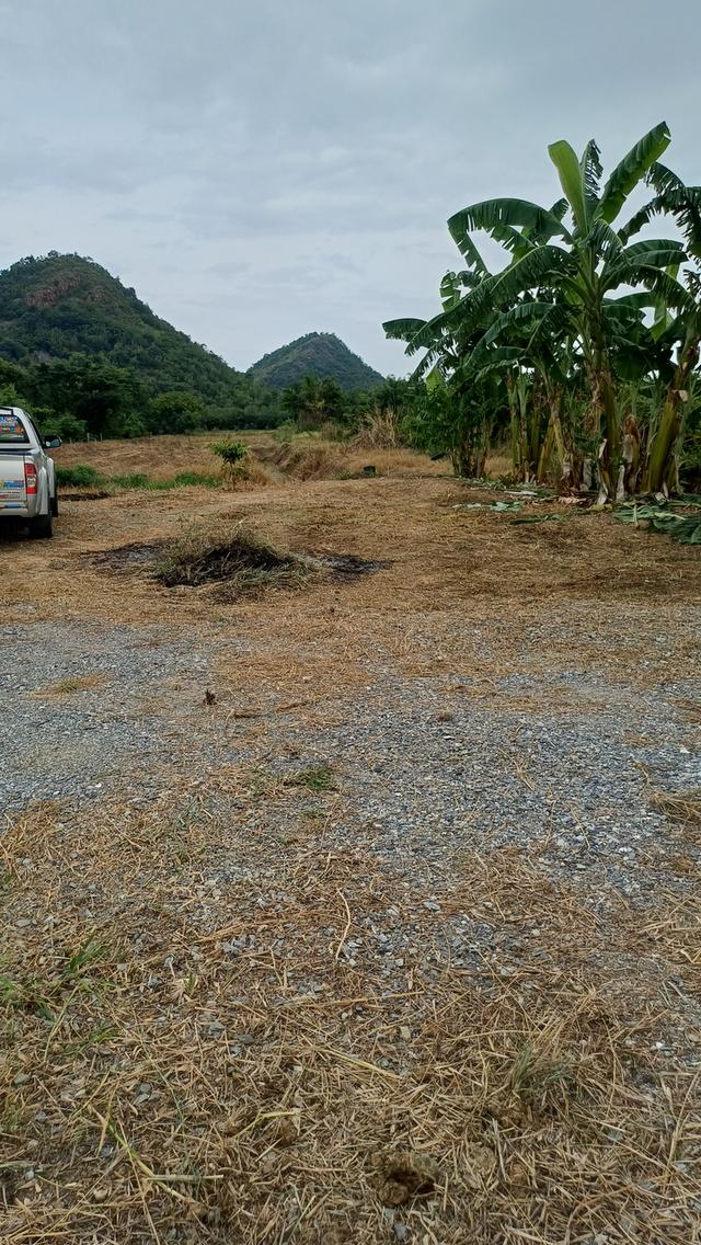 ที่ดินสวยเหมาะกับการทำบ้านสวนและการเกษตร 4