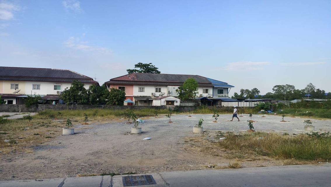 ที่ดินหทัยราช หลังหมู่บ้านวงศกร 1 1