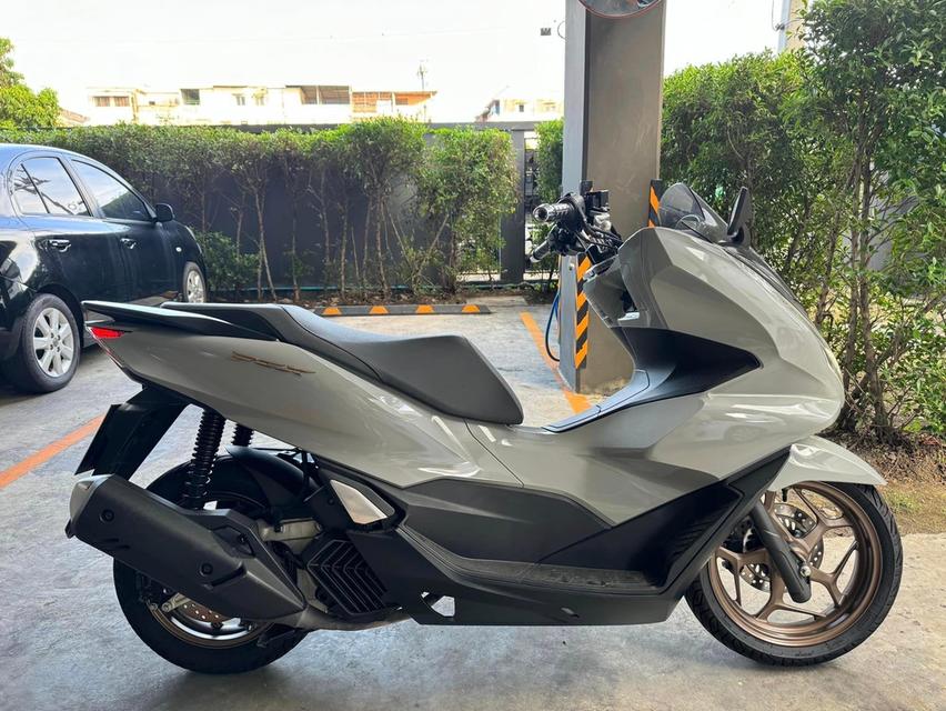 ขายด่วน Honda PCX 160 ปี 2014 จังหวัด ภูเก็ต 2