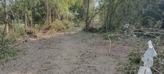 ทำเลเงื่อนไขซื้อขายสิ่งสำคัญ ขายที่สวยติดทางหลวง1107 บ้านตาก จ.ตาก คมนาคมสะดวก ไร่ละ 300000 ต.ตากตก อ.บ้านตาก จ.ตาก 0837 1
