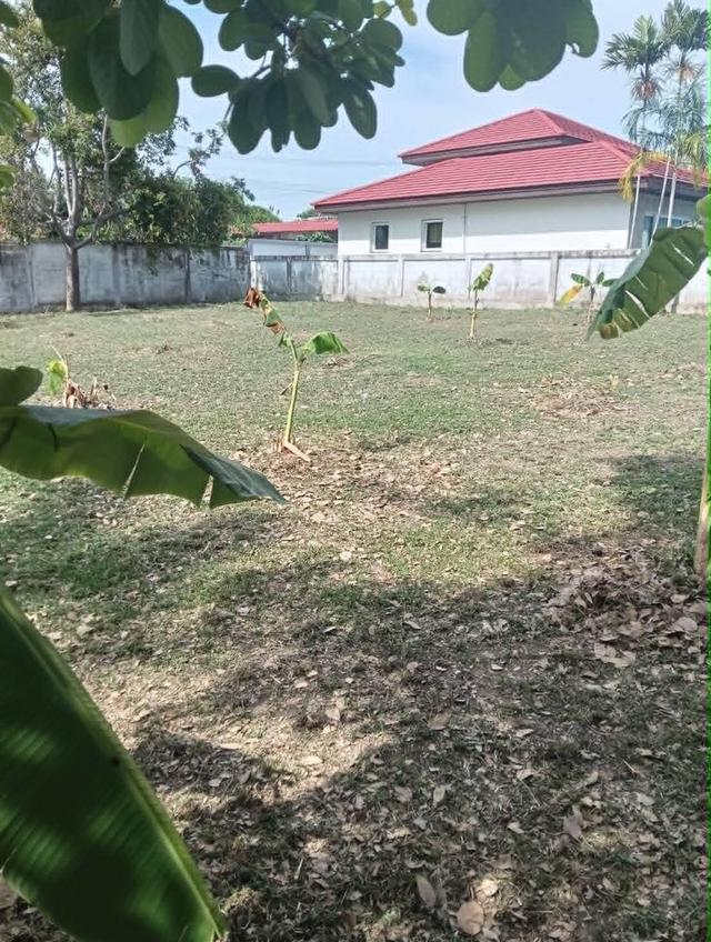 ขายที่ดินพัทยาเหมาะทำพูลวิลล่าสุดหรู–ทำเลที่อยู่อาศัยระดับพรีเมียม 9