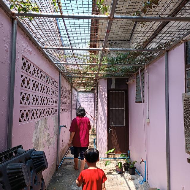 ขายบ้านมือสอง 48ตารางวา 2ห้องนอน1ห้องน้ำ 11