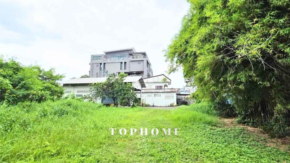 ขายด่วน❗️ ที่ดินพร้อมบ้าน ซอยชัยพฤกษ์ 18 ถมเเล้ว ใกล้ Central Pinklao 🏠ทำเลดี น่าลงทุน📌 10