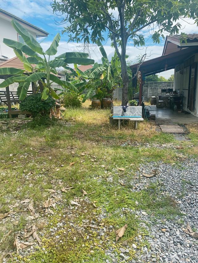 ทีดินพร้อมสิ่งปลูกสร้าง 3