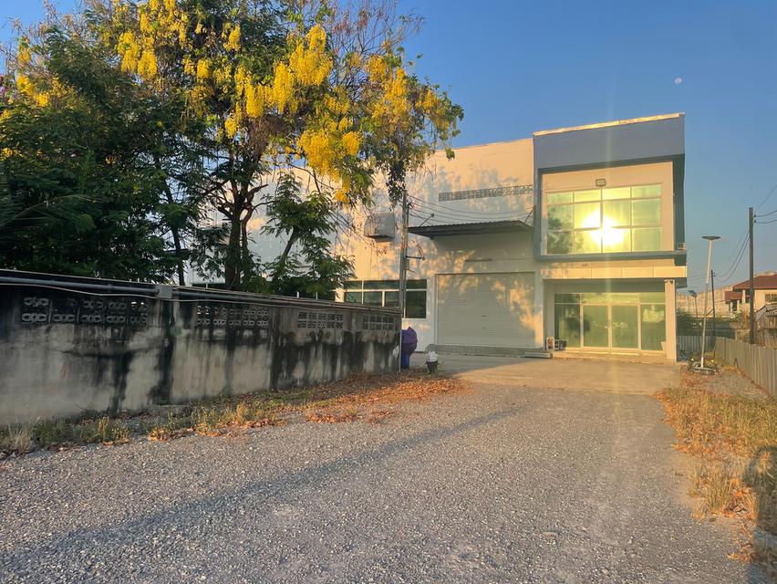 ขายที่ดินพร้อมอาคารพาณิชย์ 1