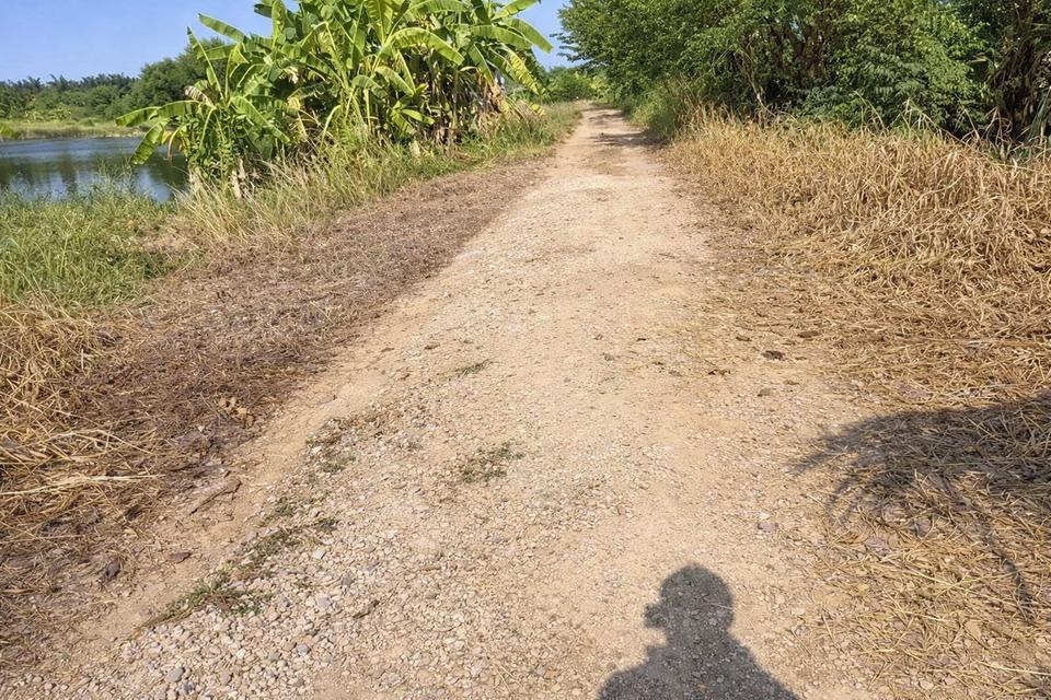 ขายที่ดินแปลงเดียว 2 โฉนด 250 ไร่ หนองหมู วิหารแดง สระบุรี เหมาะทำเกษตรและลงทุน 4