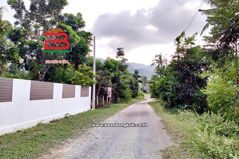 ที่ดินเปล่า ซอยสามร้อยยอด 23 เนื้อที่ 330 ตร.ว (ใกล้หาดสามร้อยยอด) ถนนเพชรเกษม ตำบลสามร้อยยอด อำเภอสามร้อยยอด จังหวัดประจวบคีรีขันธ์ 4