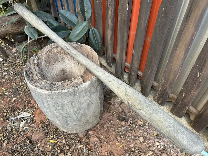 ครกไม้ตำข้าว ครกตำข้าวเปลือกสมัยโบราณ ครกตำข้าวโบราณ พร้อมสากไม้