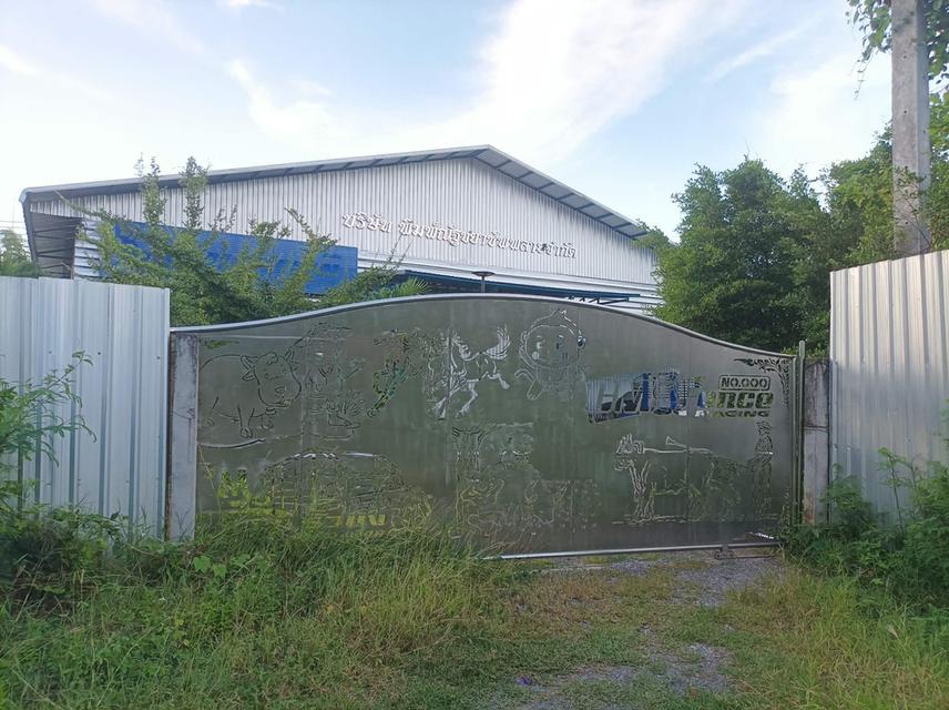 ขายที่ดิน(โรงงานเก่า) ต.แม่คือ อ.ดอยสะเก็ด จ.เชียงใหม่ 2