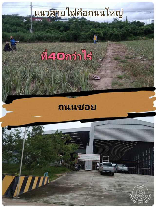 ที่ดินนิคมพัฒนา จ.ระยอง 1