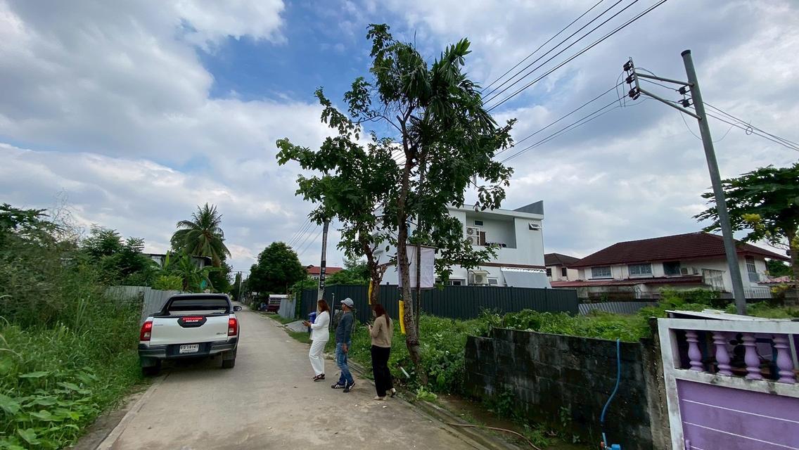 ขายด่วน ที่ดินใกล้เดอะมอลล์บางแค 75 ตารางวา ติดถนนคอนกรีตสาธารณะ ถมแล้ว ซอย เพชรเกษม 68 แยก 29 เขตภาษีเจริญ กทม. 7