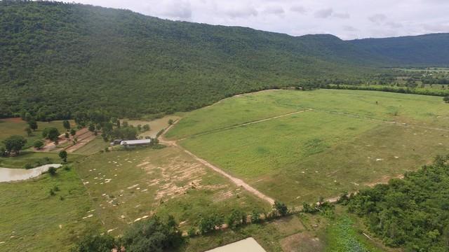 รวมบ้านที่ดินดีงามเพื่อคุณ ขายที่ดินสวยติดภูเขา เทือกเขายาวเรียงแนว ดินดีสมบูรณ์ทรัพย์ในดิน ฟ้าใสวิวหลักล้าน ต.นาจาน อ.ส 7