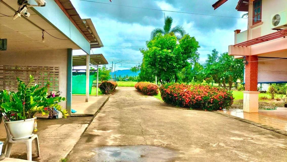 ขายบ้านพร้อมที่ดินสวยๆ ทำเลดี ใกล้จุดสำคัญหลายๆที่ 16