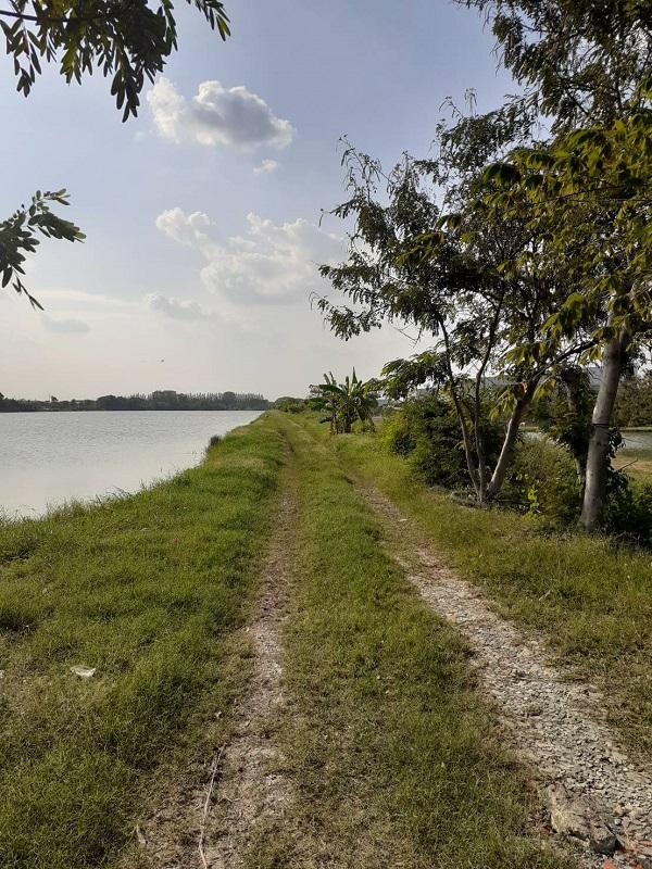 ขายที่ดิน 63 ไร่ 230 ตรว. ถนน 3075 ต.บางพลีใหญ่ อ.บางพลี จ.สมุทรปราการ 2