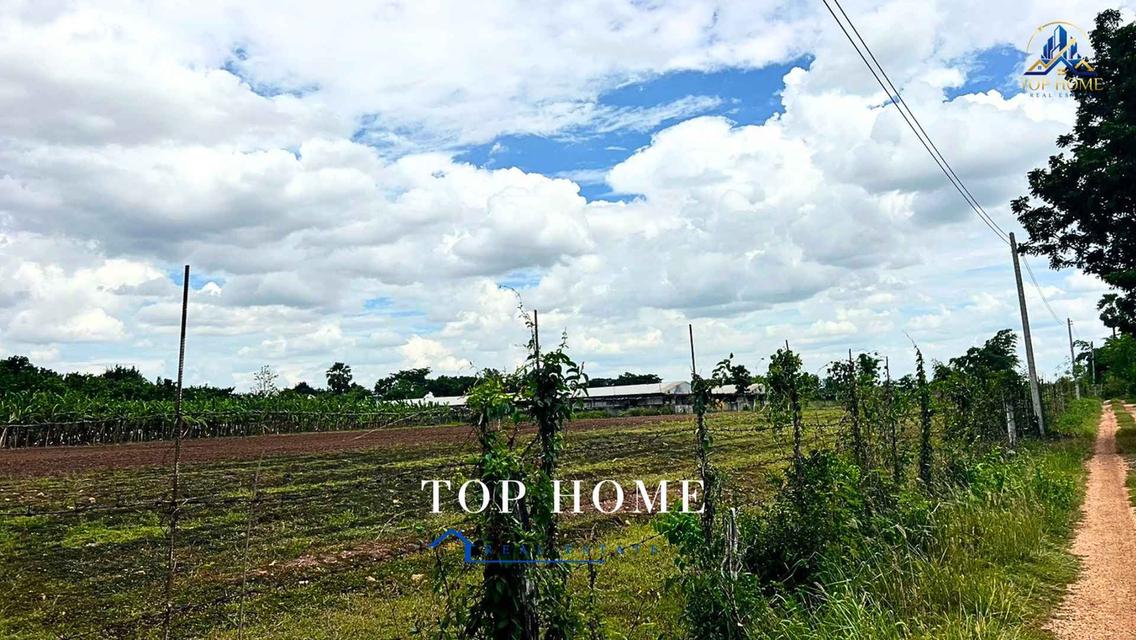ขายด่วน! ที่ดินแปลงใหญ่ ติดถนน ทำเลดี ตำบลหนองแปน อำเภอมัญจาคีรี จังหวัดขอนแก่น 11