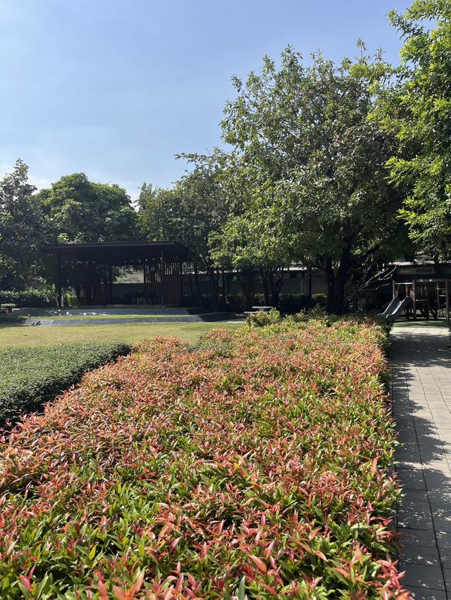 ให้เช่าทาวน์โฮม/ชั้นห้องริมแอร์ทั้งหลัง16000บาท/เดือน 2