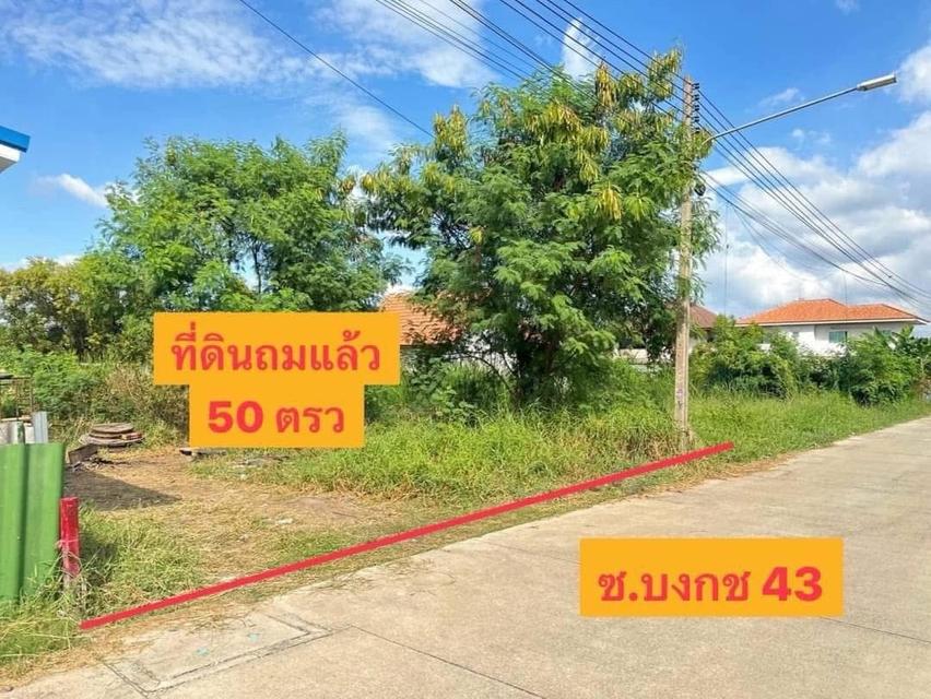 ขายที่ดินถมแล้ว เป็นแหล่งชุมชน เข้าออกได้หลายทาง ด้านหน้าแปลงติดถนนเลียบคลอง2  1