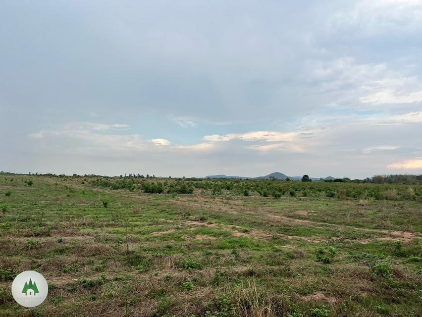 ขายที่ดิน บ้านกล้วย  ตำบลป่าหวาย อำเภอสวนผึ้ง  จังหวัดราชบุรี  เนื้อที่ 82 ไร่  ราคาไร่ละ 200,000 บาท  8