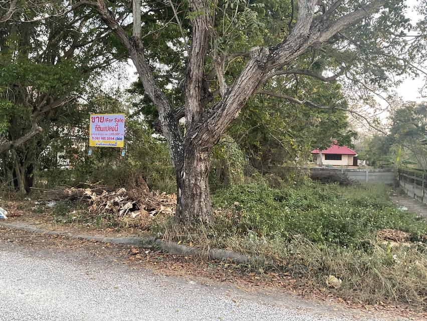 ที่ดินเปล่าใกล้ทะเล โครงการบางซองลากูน ปึกเตียน เพชรบุรี 2000000 บาท 4