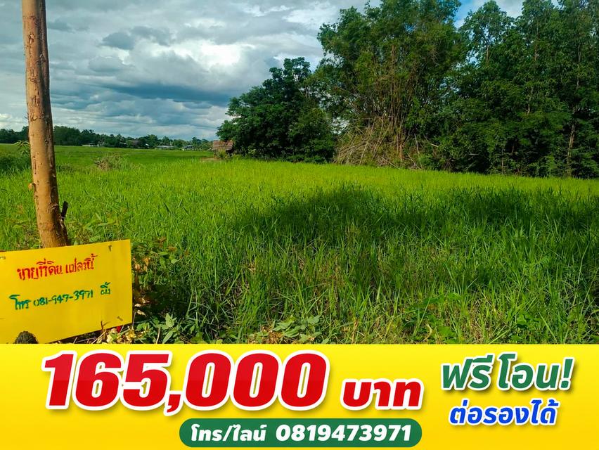 ที่ดินเหมาะสร้างบ้าน อ.หนองบัว จ.นครสวรรค์ 2