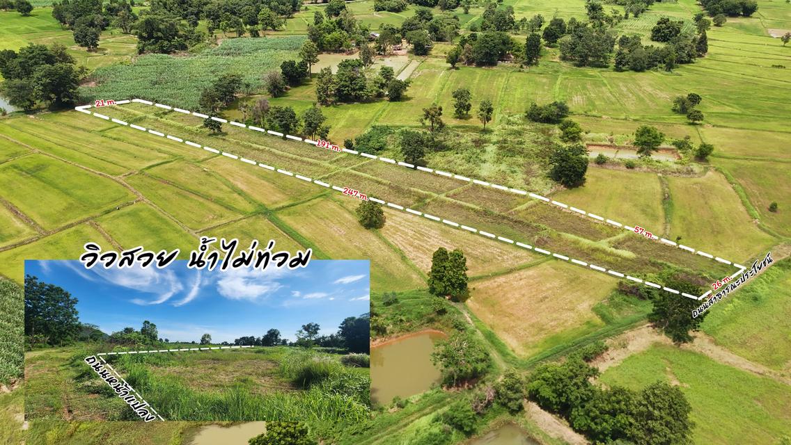 ขายที่นาสวยๆ วิวภูเขา ใกล้ตัวอำเภอภูเวียงจ.ขอนแก่นใกล้ทางกลวง4เลนห่างตัวเมืองไม่ใกล เหมาะกับบ้านสวน มีทางเข้า/ออ ทางสาธารณะราคาหลักหมื่น 6