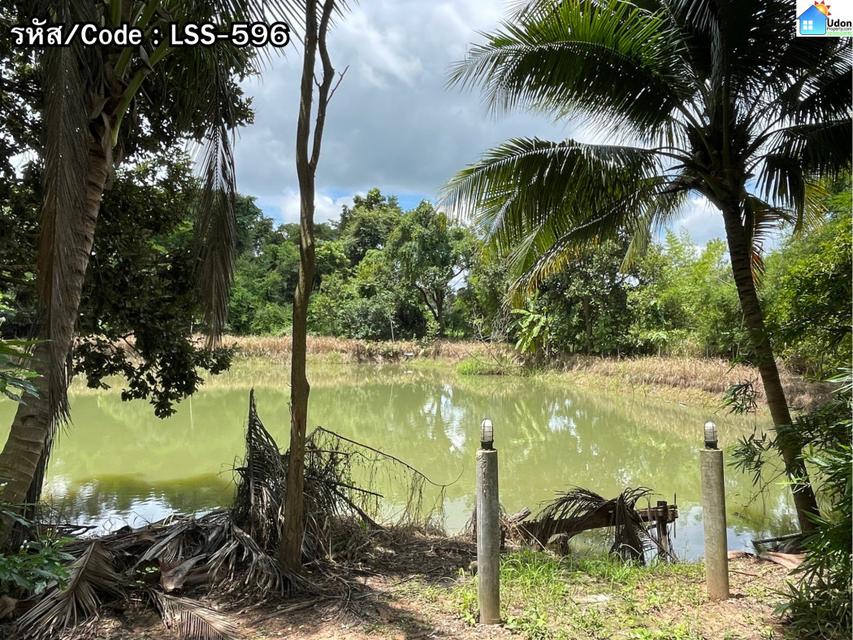 ขาย ที่ดิน พร้อมสวนยางและสิ่งปลูกสร้าง ต.เชียงพิณ 10 ไร่ 253.7 ตรว 5