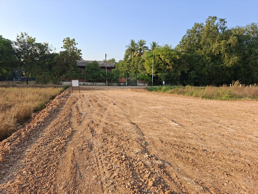 ที่ดิน ตำบลหัวรอ พิษณุโลก 5