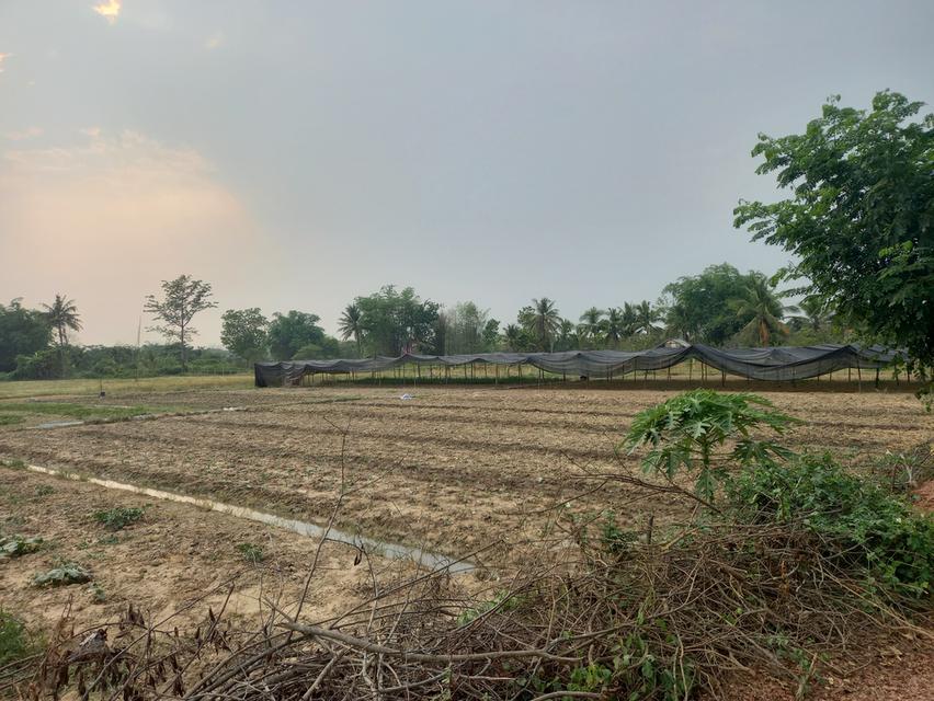 ที่ดินในตำบลบ้านแป้น อ.เมือง ลำพูน 2