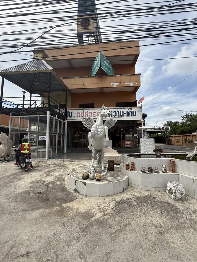 ที่ดิน 4